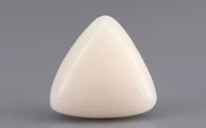 Italian White Coral - 9.34 Carat Limited Quality TWC-22070