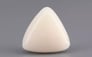 Italian White Coral - 9.34 Carat Limited Quality TWC-22070