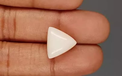 Italian White Coral - 9.57 Carat Limited Quality TWC-22071