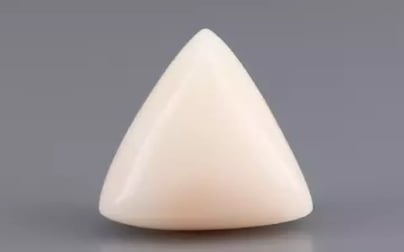 Italian White Coral - 9.57 Carat Limited Quality TWC-22071