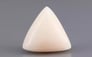 Italian White Coral - 9.57 Carat Limited Quality TWC-22071