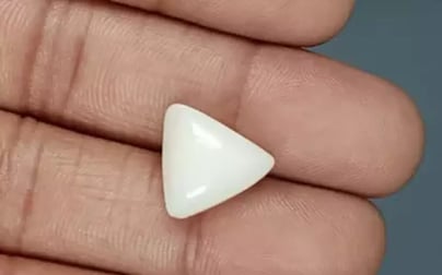 Italian White Coral - 9.88 Carat Limited Quality TWC-22081