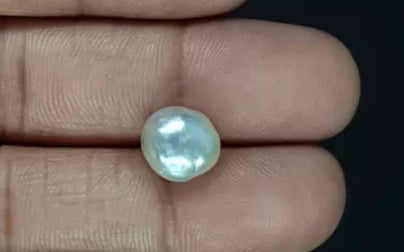 Japanese Keshi Pearl - 5.54 Carat Prime Quality SSP-8900