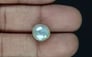 Japanese Keshi Pearl - 5.54 Carat Prime Quality SSP-8900