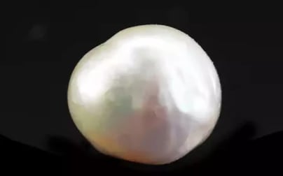 Japanese Keshi Pearl - 5.54 Carat Prime Quality SSP-8900