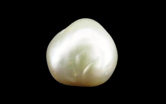 Japanese Keshi Pearl - 5.71 Carat Prime Quality SSP-8899