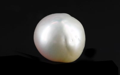 Japanese Keshi Pearl - 5.88 Carat Prime Quality SSP-8902