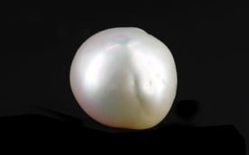 Japanese Keshi Pearl - 5.88 Carat Prime Quality SSP-8902