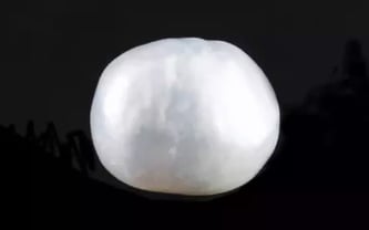 Japanese Keshi Pearl - 5.88 Carat Prime Quality SSP-8903
