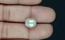 Japanese Keshi Pearl - 6.60 Carat Prime Quality SSP-8901