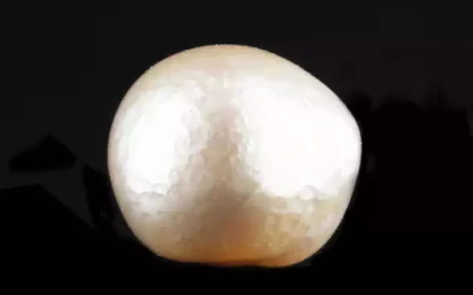 Japanese Keshi Pearl - 6.60 Carat Prime Quality SSP-8901