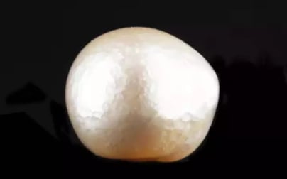 Japanese Keshi Pearl - 6.60 Carat Prime Quality SSP-8901