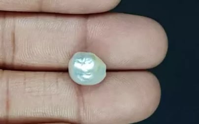 Japanese Keshi Pearl - 6.68 Carat Prime Quality SSP-8910