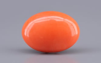 Japanese Red Coral - 10.35 Carat Rare Quality CC-5900
