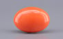 Japanese Red Coral - 10.35 Carat Rare Quality CC-5900