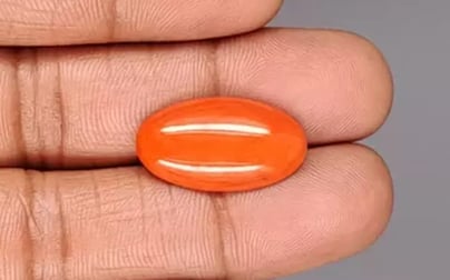 Japanese Red Coral - 10.36 Carat Rare Quality CC-5882