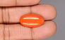 Japanese Red Coral - 10.36 Carat Rare Quality CC-5882