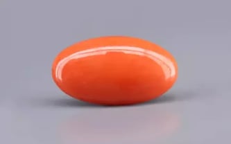 Buy Japanese Red Coral Online at Best Price