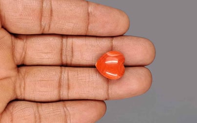 Japanese Red Coral - 13.31 Carat Rare Quality TC-5392