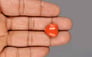 Japanese Red Coral - 13.31 Carat Rare Quality TC-5392