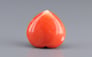 Japanese Red Coral - 13.31 Carat Rare Quality TC-5392