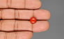 Japanese Red Coral - 2.31 Carat Rare Quality CC-5947