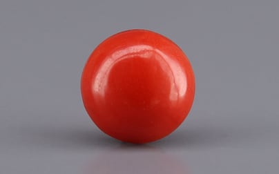 Japanese Red Coral - 2.31 Carat Rare Quality CC-5947