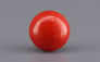Japanese Red Coral - 2.31 Carat Rare Quality CC-5947