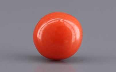 Japanese Red Coral - 2.74 Carat Limited Quality CC-5948