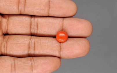 Japanese Red Coral - 2.74 Carat Limited Quality CC-5948