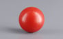 Japanese Red Coral - 3.08 Carat Rare Quality CC-5938