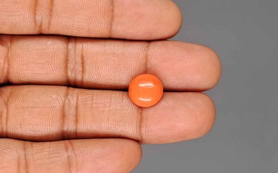 Japanese Red Coral - 3.58 Carat Rare Quality CC-5946