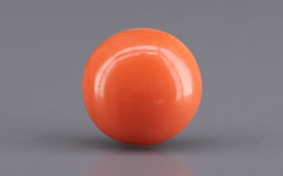 Japanese Red Coral - 3.58 Carat Rare Quality CC-5946