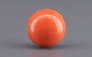 Japanese Red Coral - 3.58 Carat Rare Quality CC-5946