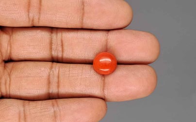 Japanese Red Coral - 4.21 Carat Rare Quality CC-5945