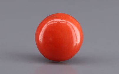 Japanese Red Coral - 4.21 Carat Rare Quality CC-5945