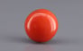 Japanese Red Coral - 4.21 Carat Rare Quality CC-5945