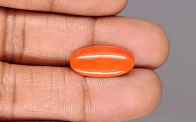 Japanese Red Coral - 4.89 Carat Rare Quality CC-5893