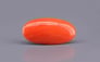 Japanese Red Coral - 4.89 Carat Rare Quality CC-5893