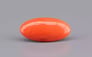 Japanese Red Coral - 6.29 Carat Rare Quality CC-5891