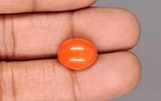 Japanese Red Coral - 6.69 Carat Rare Quality CC-5889