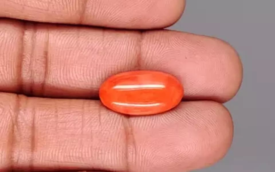 Japanese Red Coral - 7.07 Carat Rare Quality CC-5890