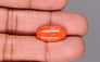 Japanese Red Coral - 7.07 Carat Rare Quality CC-5890
