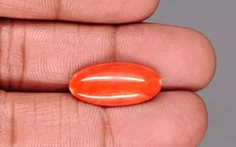 Japanese Red Coral - 7.13 Carat Rare Quality CC-5885