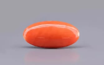 Japanese Red Coral - 7.13 Carat Rare Quality CC-5885