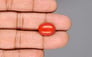 Japanese Red Coral - 7.53 Carat Rare Quality CC-5939