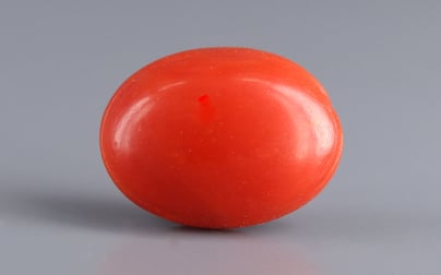 Japanese Red Coral - 7.53 Carat Rare Quality CC-5939