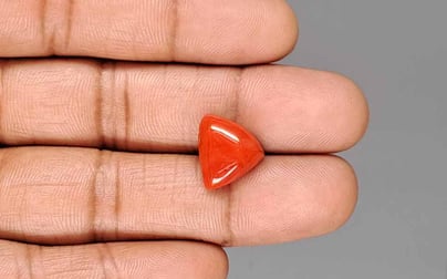 Japanese Red Coral - 7.76 Carat Rare Quality TC-5409