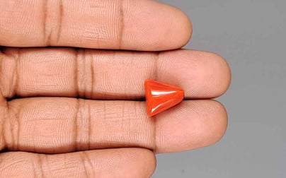 Japanese Red Coral - 7.78 Carat Rare Quality TC-5428