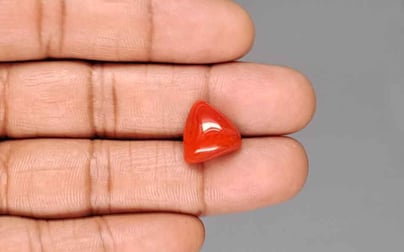 Japanese Red Coral - 8.00 Carat Rare Quality TC-5436